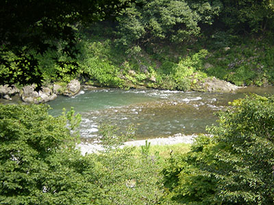 宿から望む多摩川の清流画像