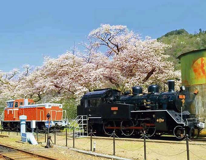 若桜鉄道 若桜駅 C12とDE10画像