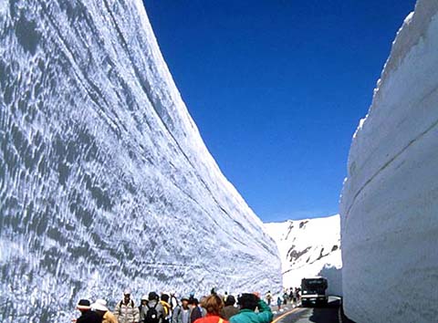 立山黒部アルペンルート雪壁画像