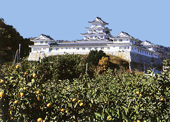 湯浅城画像