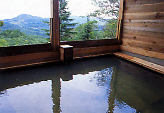 五色温泉「宗川旅館」　露天風呂画像