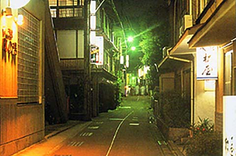 俵山温泉街夜景画像