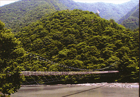 雨畑湖にかかる吊橋画像