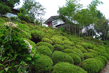 橋倉鉱泉画像その2