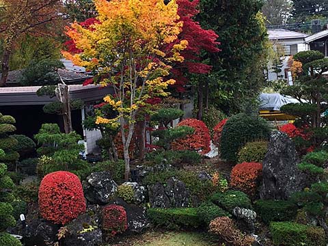 富士河口湖温泉 外川荘庭園画像