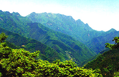 両神山遠景画像