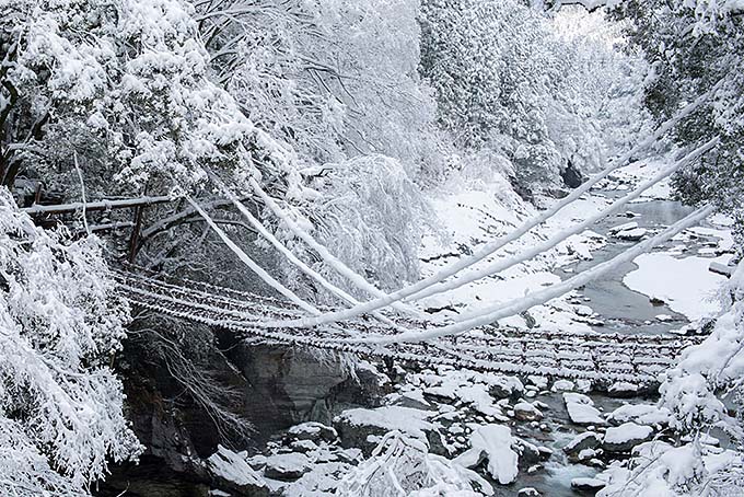 冬の祖谷のかずら橋画像
