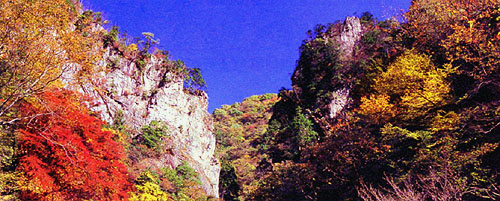 神戸岩画像