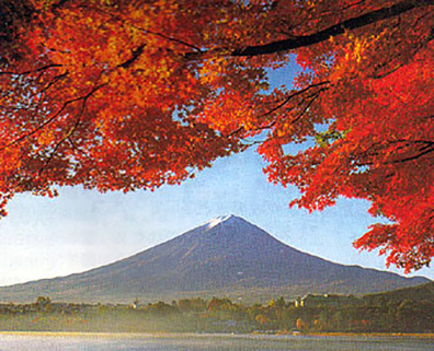 山中湖から望む紅葉の富士画像